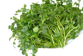 Cải xoong và công dụng chữa bệnh kỳ diệu