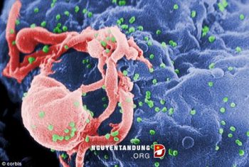 “Bom” phóng xạ có thể tiêu diệt HIV