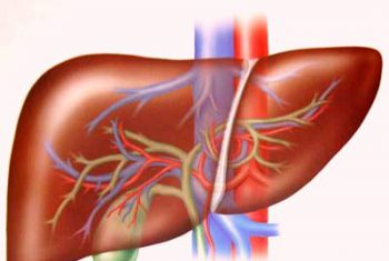 Tự ý dùng thuốc hạ cholesterol điều trị gan nhiễm mỡ – Coi chừng “hỏng” gan