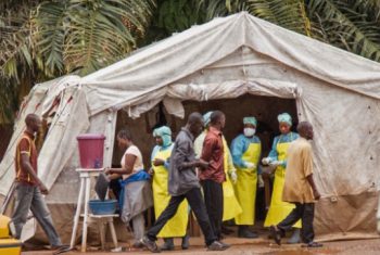 WHO: Đại dịch chết người Ebola đã chấm dứt