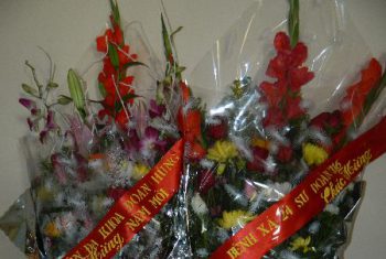 HV-Gặp mặt đầu xuân Giáp Ngọ 2014