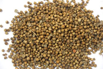 Hạt mùi không có tác dụng với virus sởi