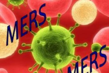 Dịch MERS ở Hàn Quốc “lớn và phức tạp”