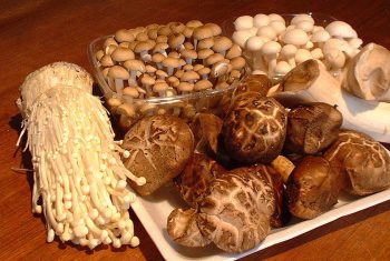 Những cái chết bất ngờ vì sốc phản vệ
