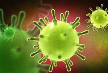 Virus khiến con người thông minh hơn?